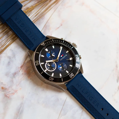 Montre Tommy Hilfiger pour homme 1791920
