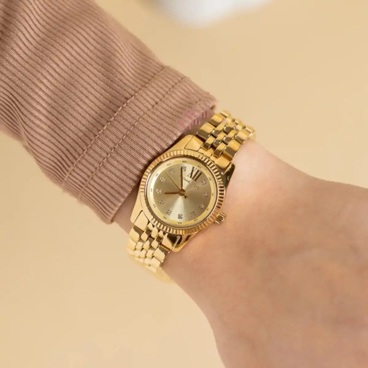 Montre Michael Kors pour femme MK4741
