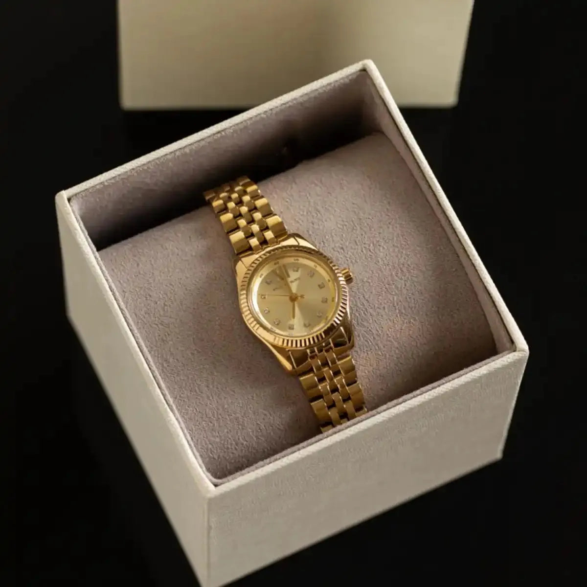 Montre Michael Kors pour femme MK4741